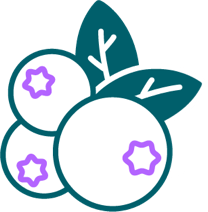 Blueberries icon